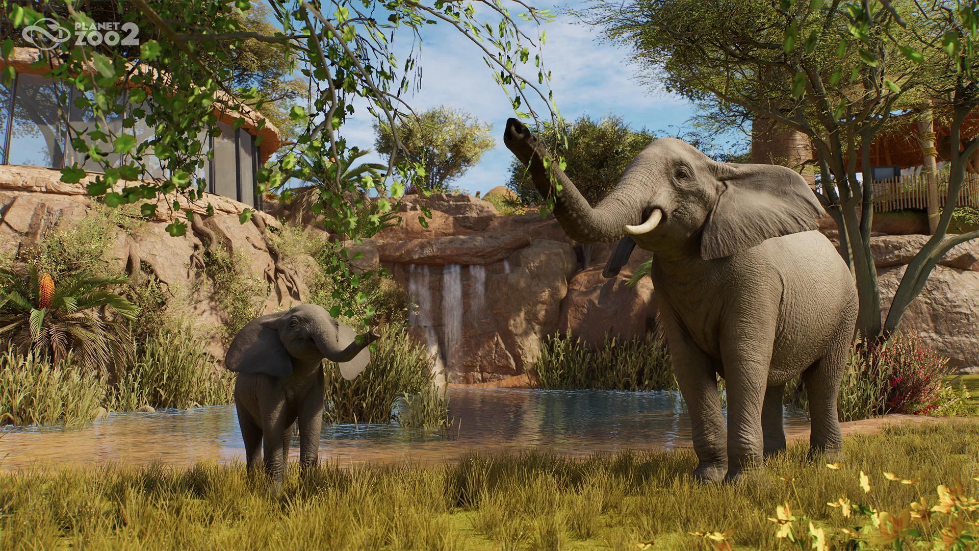 African Savannah Elephant