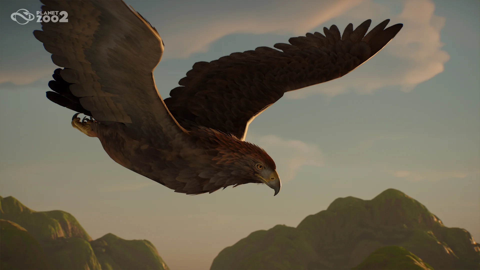 Golden Eagle