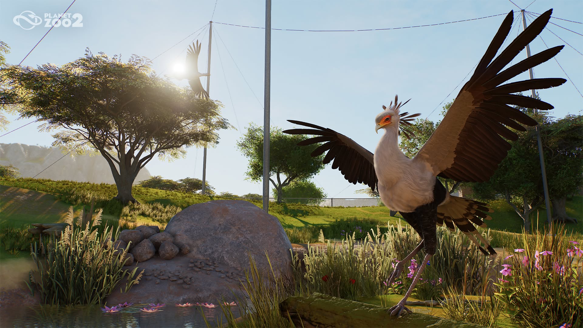 Secretarybird