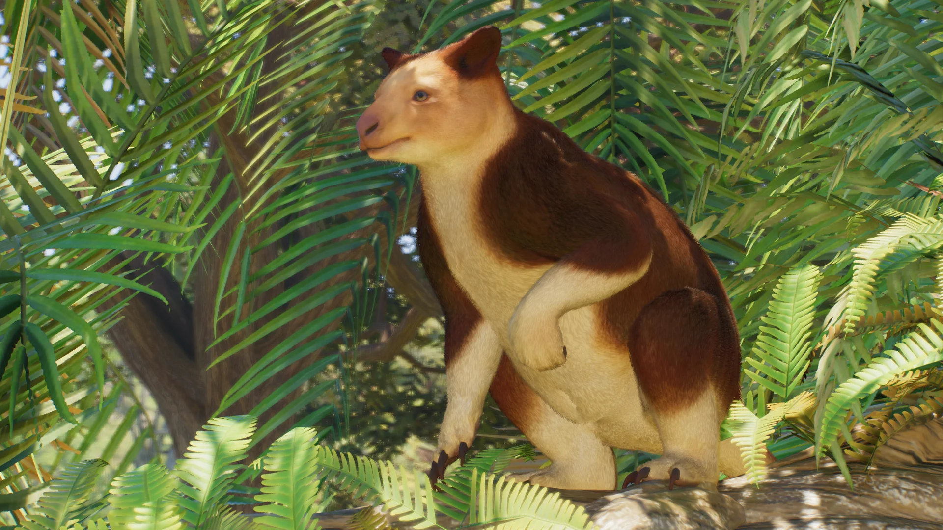 Goodfellow's Tree-Kangaroo